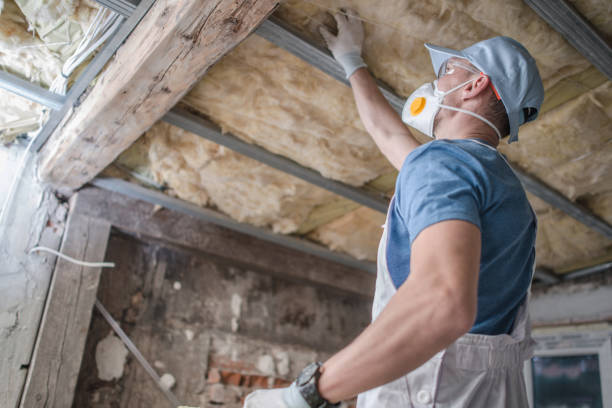 Types of Insulation We Offer in Hutchins, TX