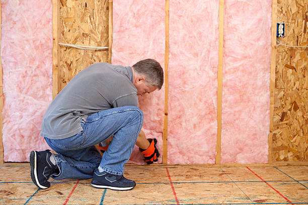 Best Eco-Friendly Insulation in Hutchins, TX
